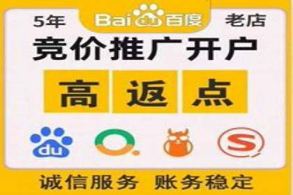 百度竞价排名实战：关键词优化与落地页优化案例